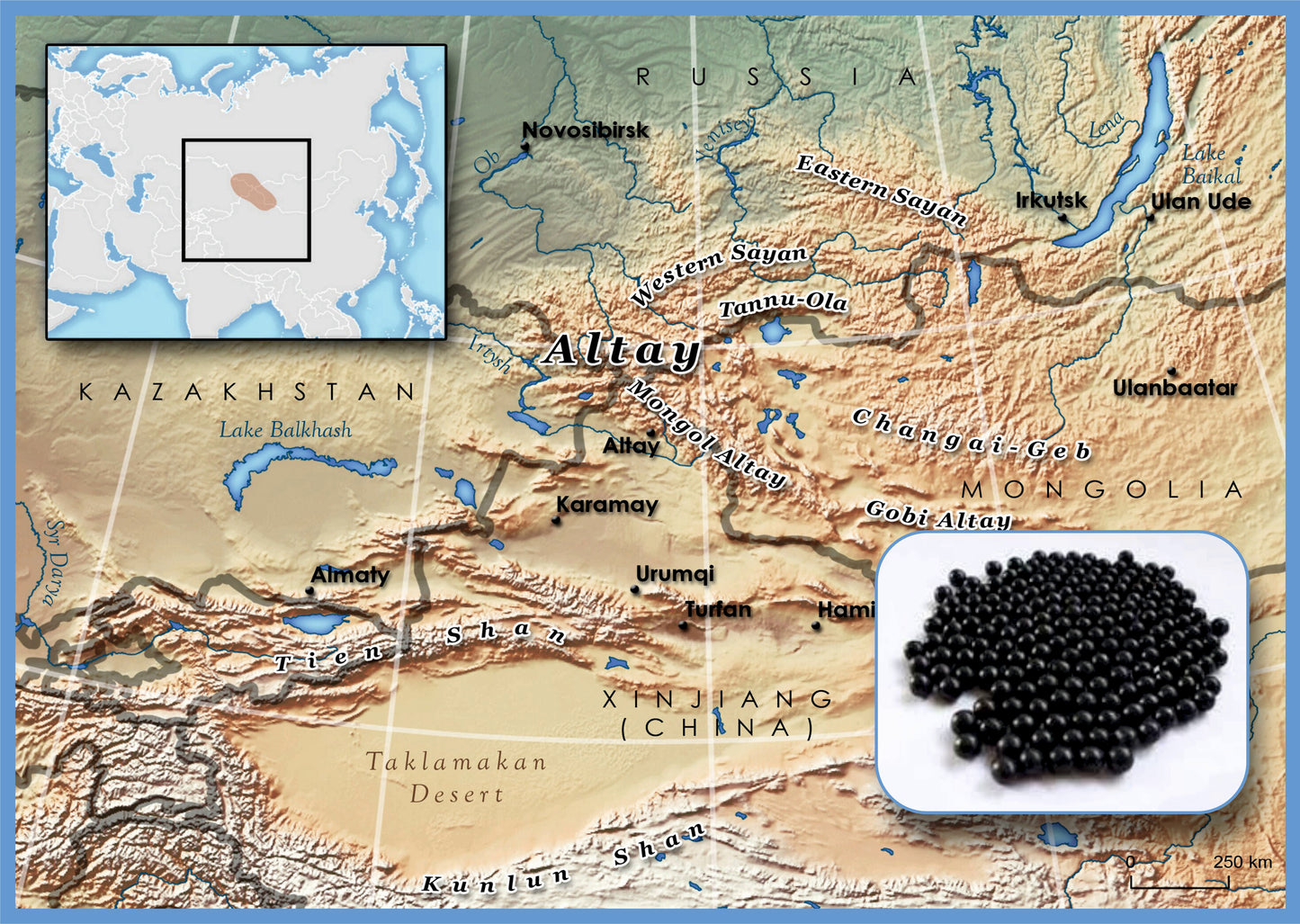 60 Balls Altai Shilajit High Quality Pure mumiyo mumio mumijo Барагшун